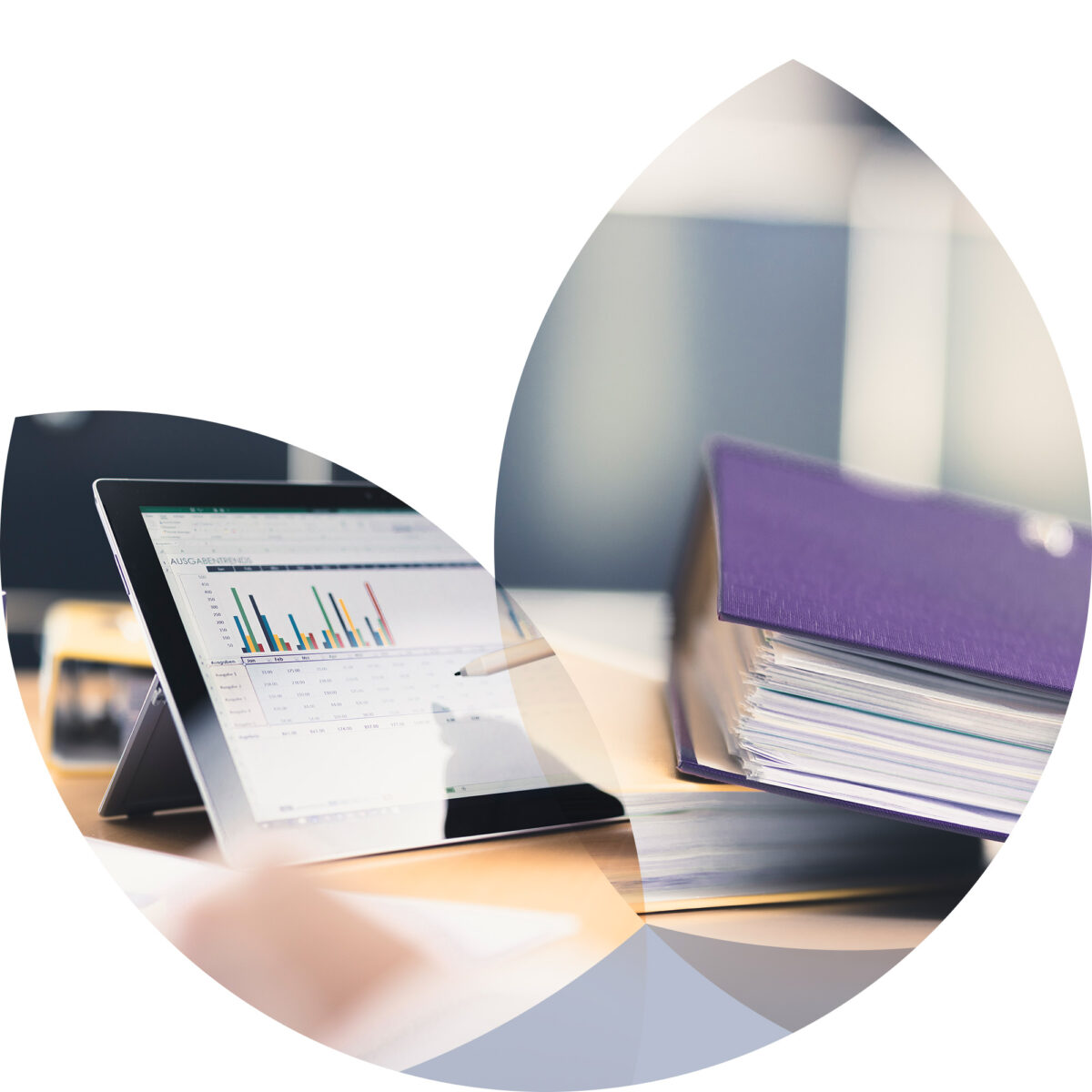 ACV Wirtschaftsprüfung